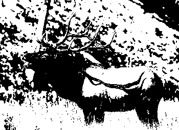 Лось-2