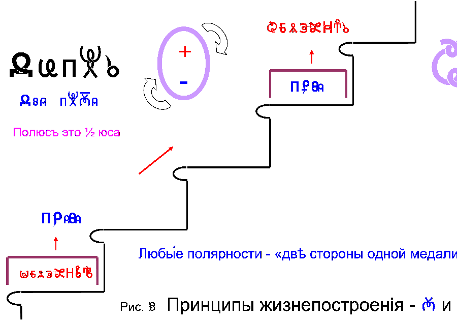 Полюса